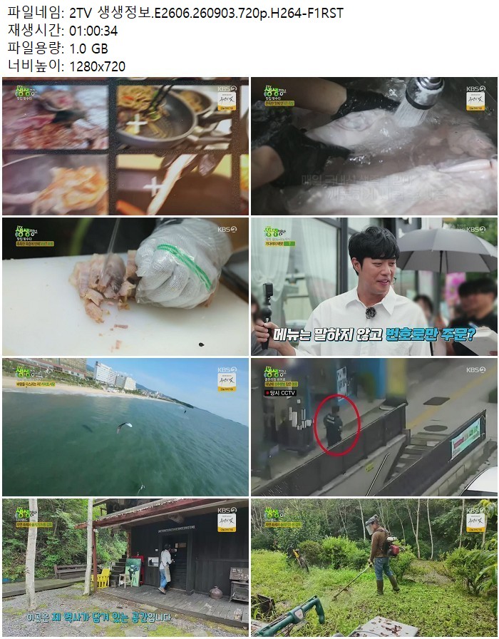 2TV 생생정보.E2606.260903.720p.H264