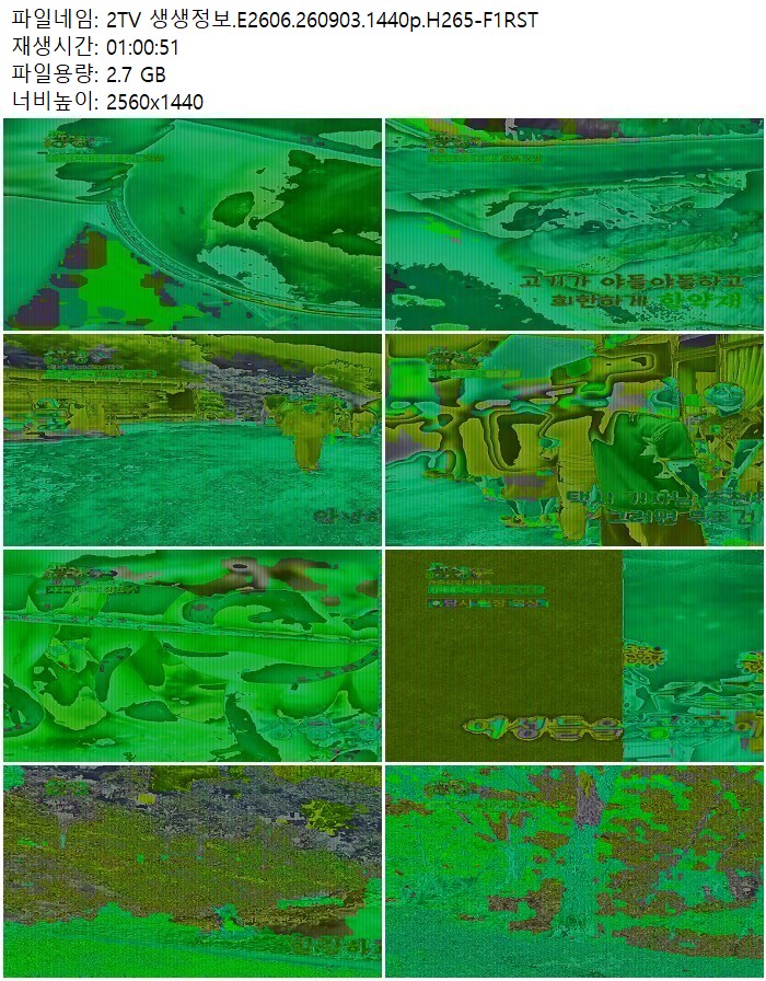 2TV 생생정보.E2606.260903.1440p.H265