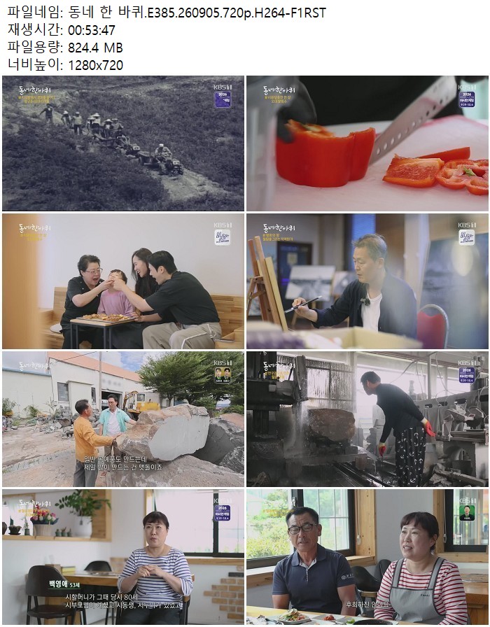 동네 한 바퀴.E385.260905.720p.H264