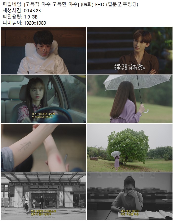 [고독적 야수 고독한 야수] (09화) FHD (필문군,주정팅)