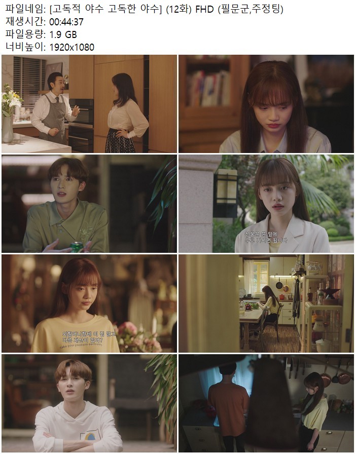 [고독적 야수 고독한 야수] (12화) FHD (필문군,주정팅)