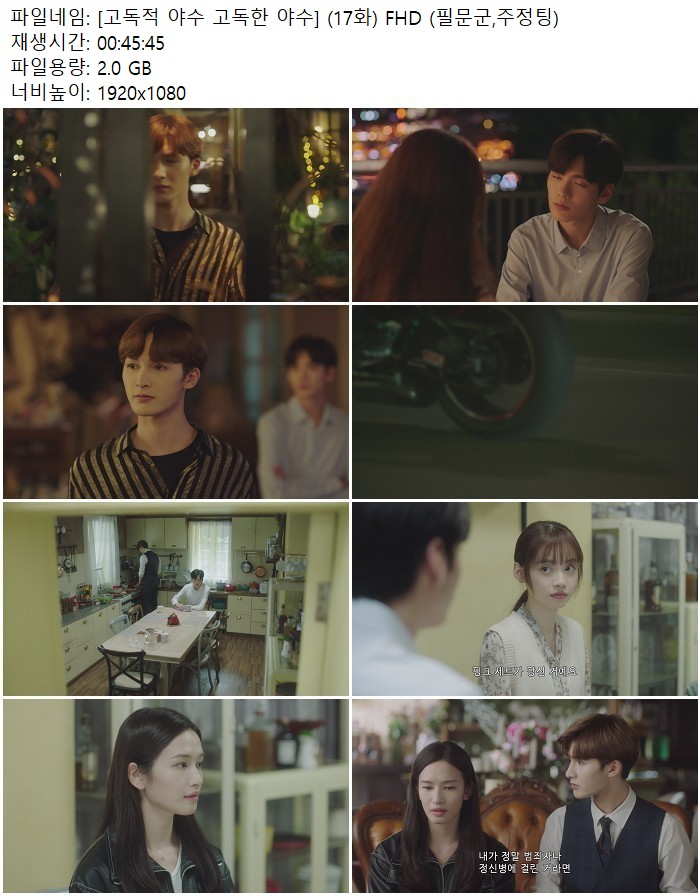 [고독적 야수 고독한 야수] (17화) FHD (필문군,주정팅)