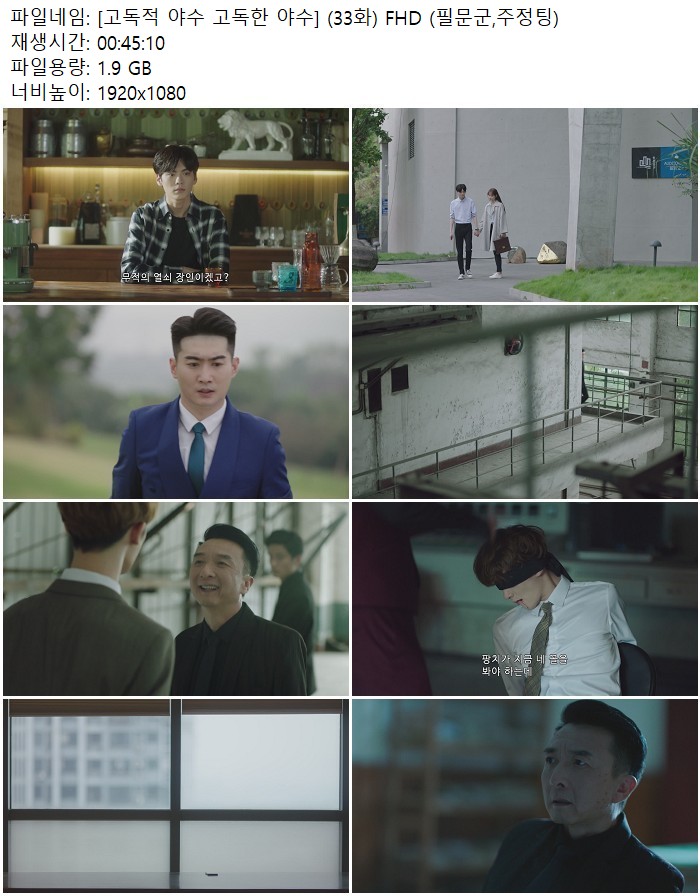 [고독적 야수 고독한 야수] (33화) FHD (필문군,주정팅)