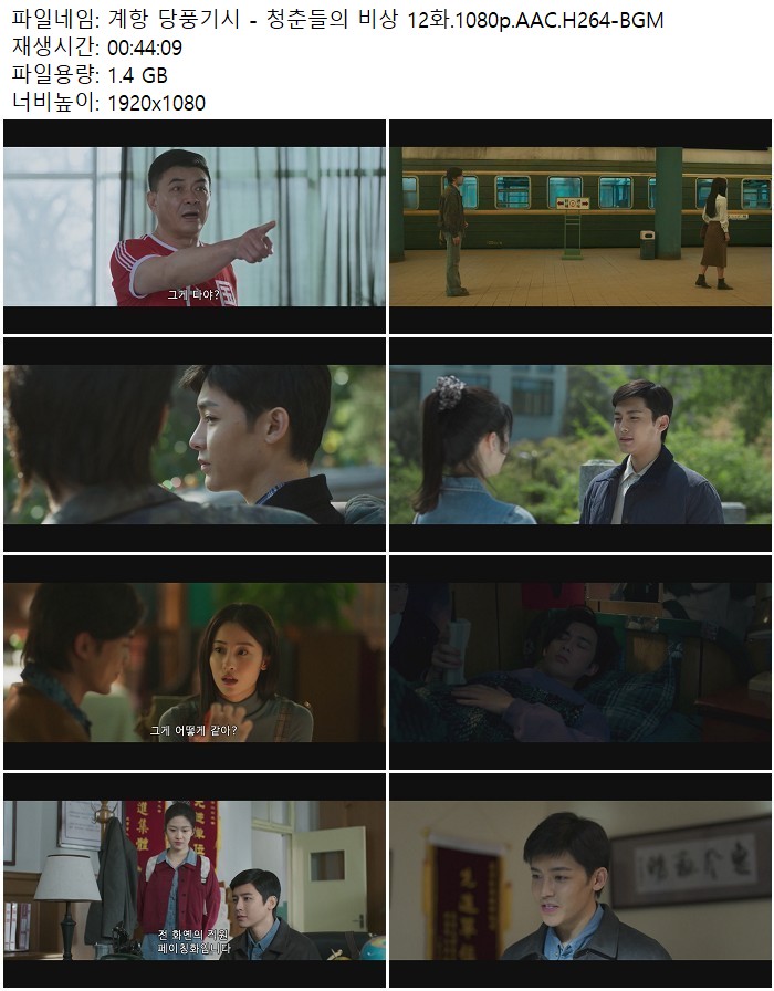 계항 당풍기시 - 청춘들의 비상 12화.1080p.AAC.H264-BGM