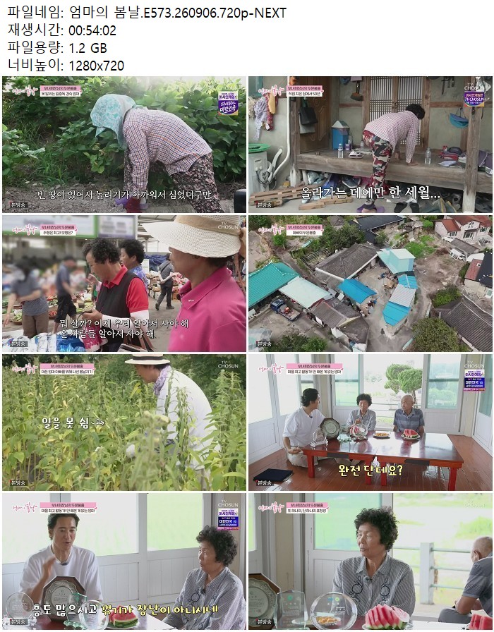 엄마의 봄날.E573.260906.720p-NEXT