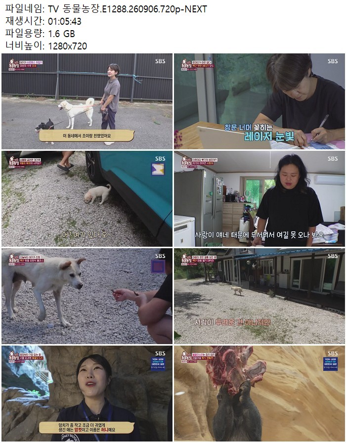 TV 동물농장.E1288.260906.720p-NEXT