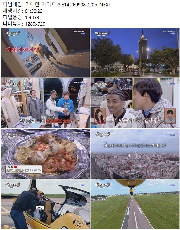 위대한 가이드 3.E14.260908.720p-NEXT