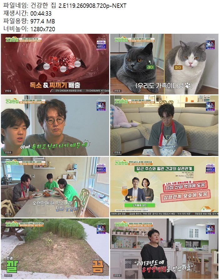 건강한 집 2.E119.260908.720p-NEXT