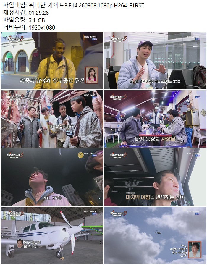 위대한 가이드3.E14.260908.1080p.H264-F1RST