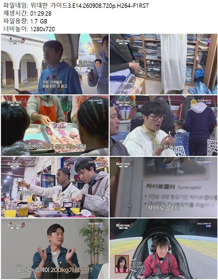 위대한 가이드3.E14.260908.720p.H264