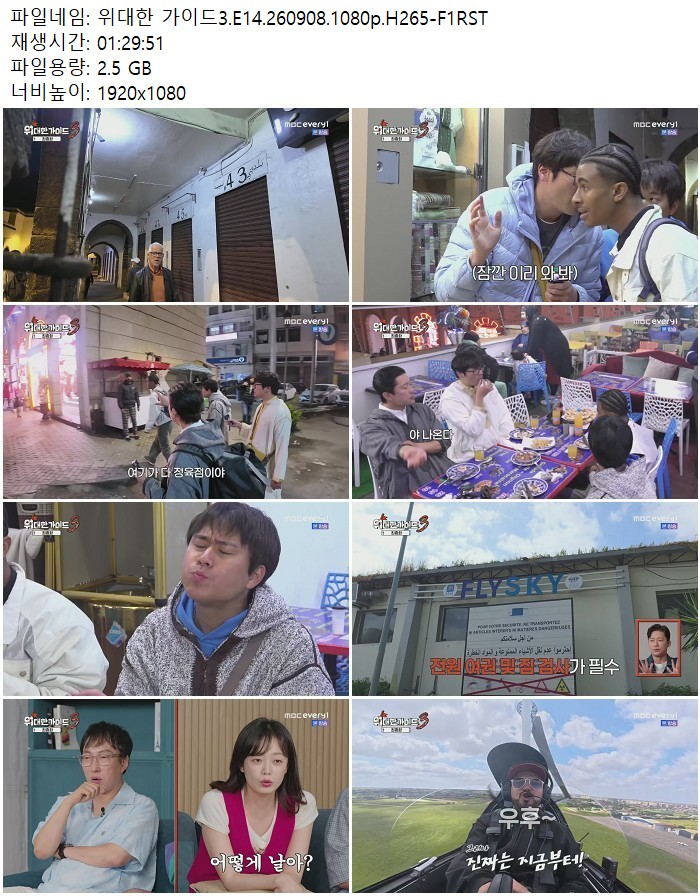 위대한 가이드3.E14.260908.1080p.H265