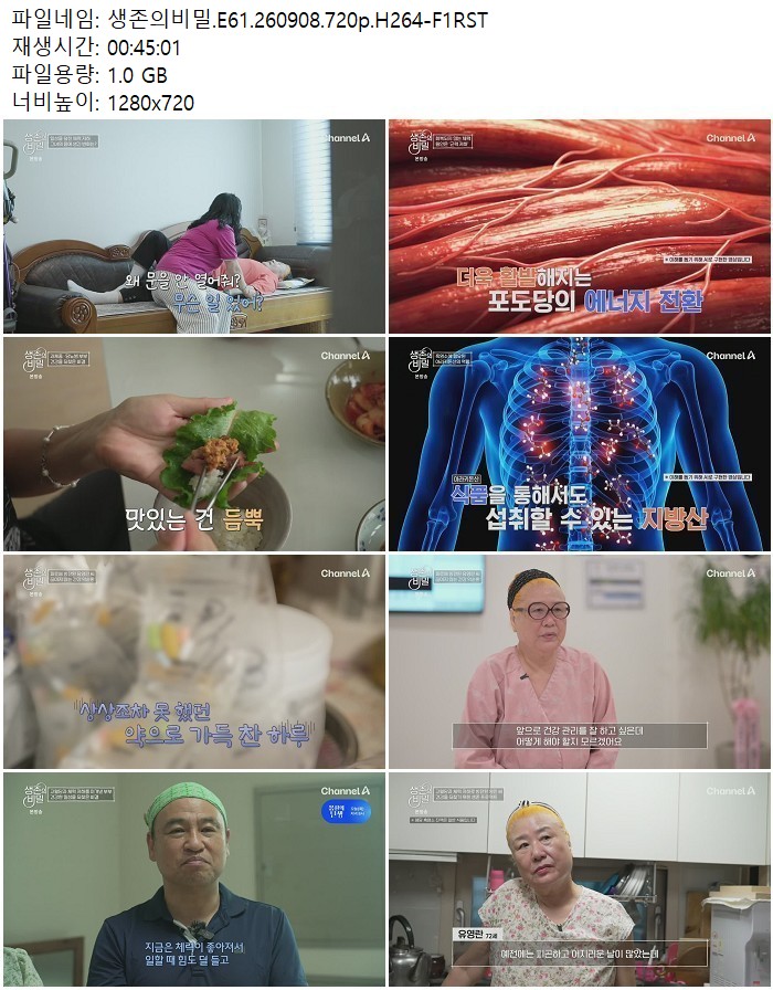 생존의비밀.E61.260908.720p.H264