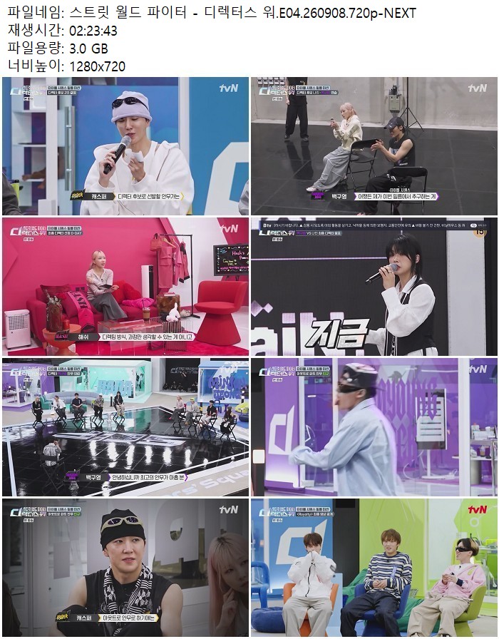 스트릿 월드 파이터 - 디렉터스 워.E04.260908.720p-NEXT
