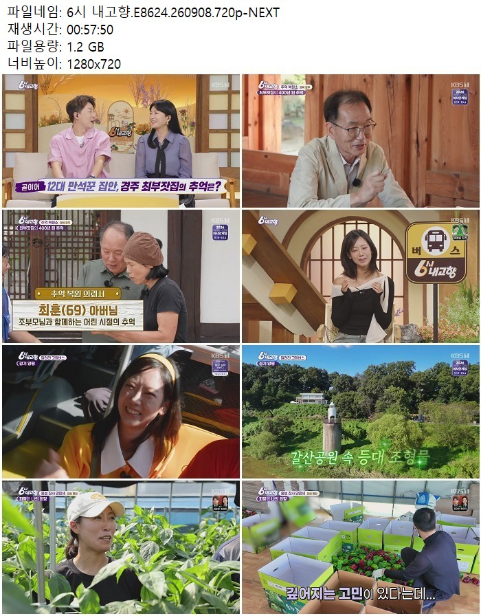 6시 내고향.E8624.260908.720p-NEXT