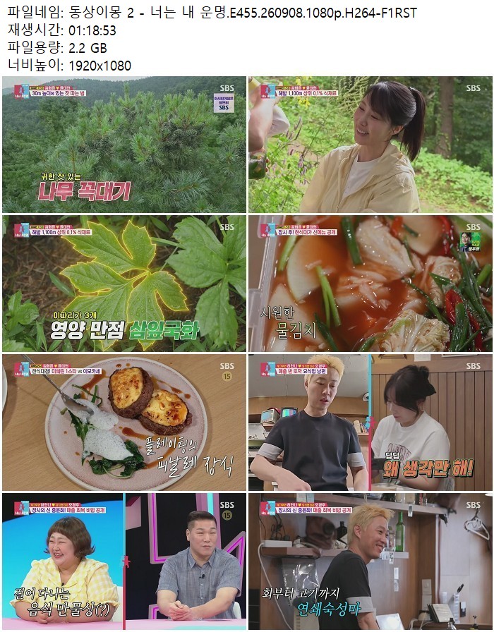 동상이몽 2 - 너는 내 운명.E455.260908.1080p.H264-F1RST