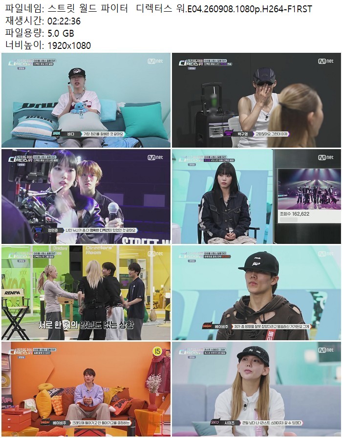 스트릿 월드 파이터  디렉터스 워.E04.260908.1080p.H264-F1RST