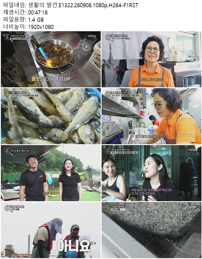 생활의 발견.E1322.260908.1080p.H264-F1RST