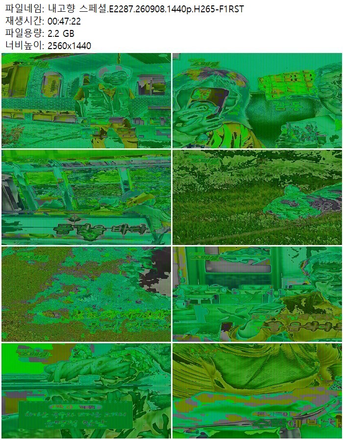 내고향 스페셜.E2287.260908.1440p.H265-F1RST