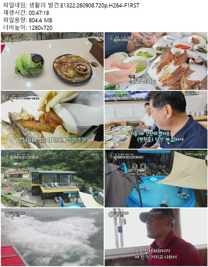 생활의 발견.E1322.260908.720p.H264-F1RST