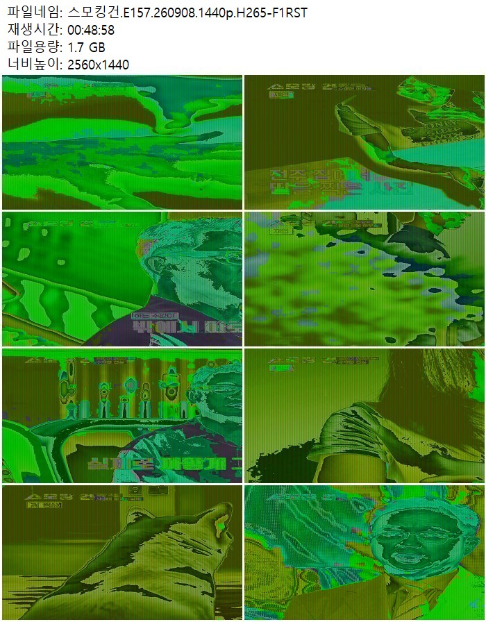 스모킹건.E157.260908.1440p.H265-F1RST