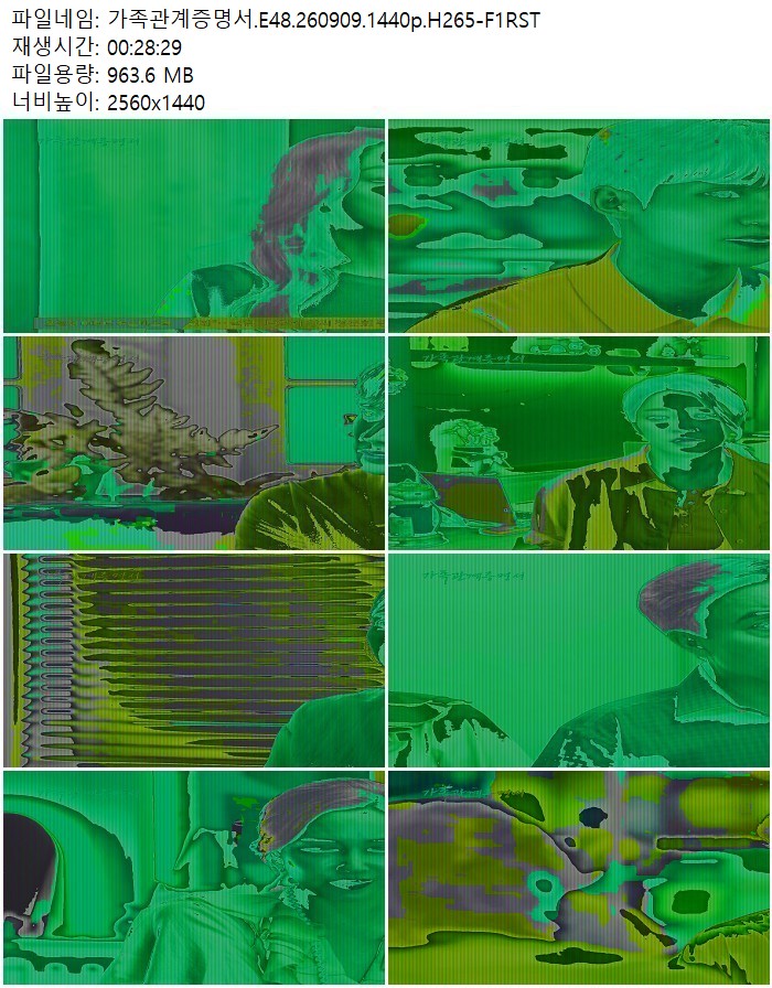 가족관계증명서.E48.260909.1440p.H265