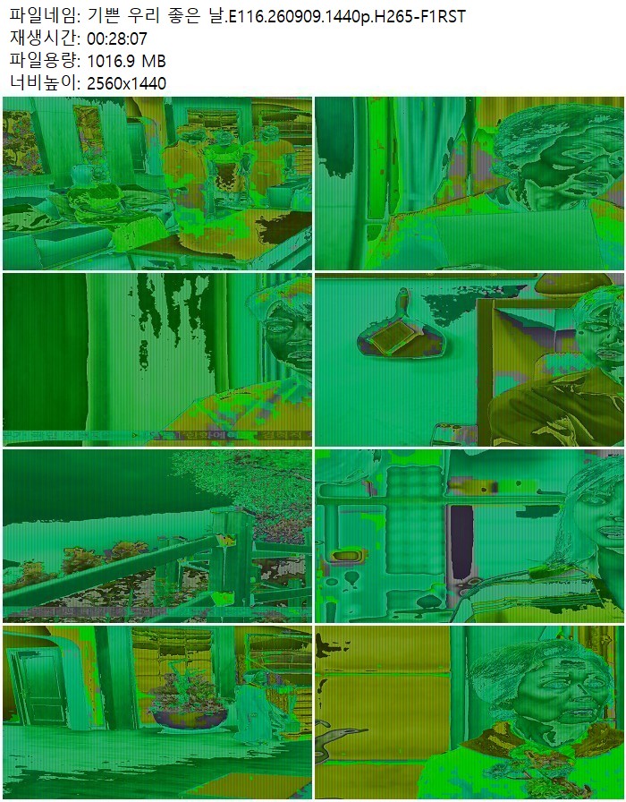 기쁜 우리 좋은 날.E116.260909.1440p.H265