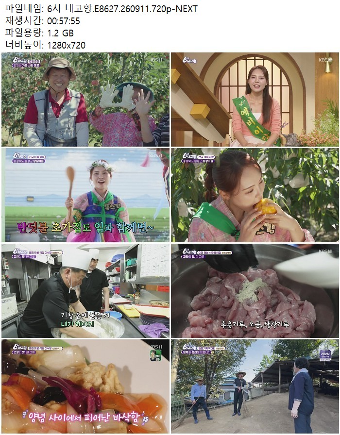 6시 내고향.E8627.260911.720p-NEXT