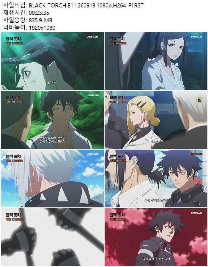 BLACK TORCH.E11.260913.1080p.H264-F1RST