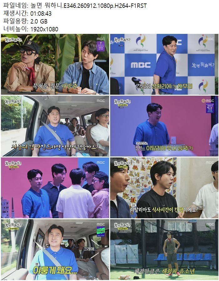 놀면 뭐하니.E346.260912.1080p.H264