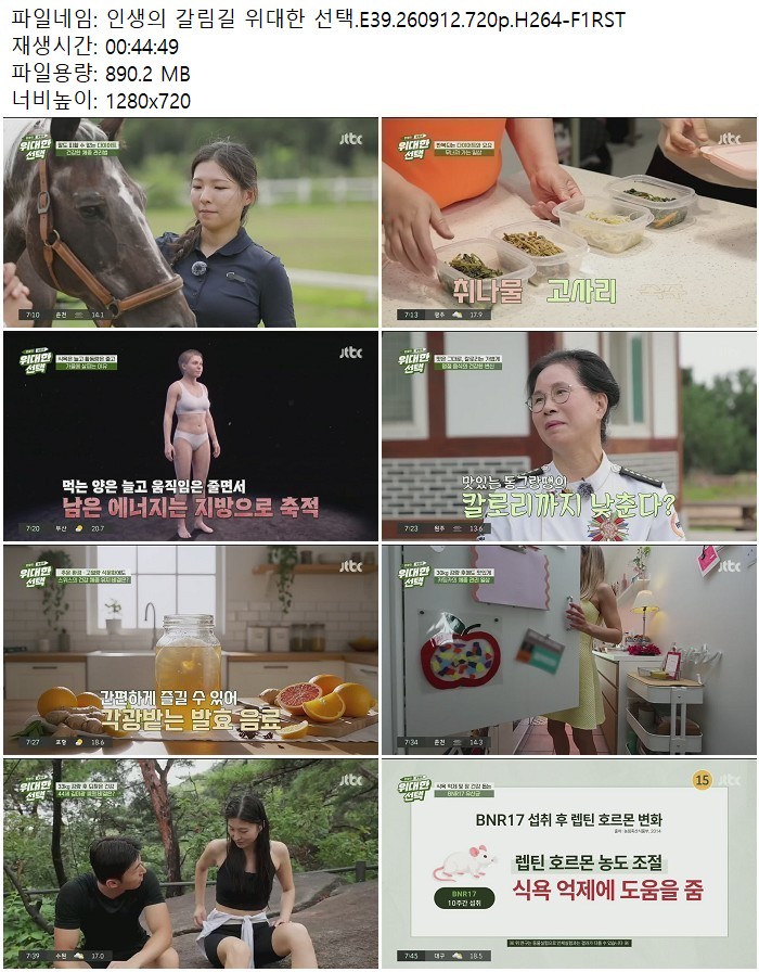 인생의 갈림길 위대한 선택.E39.260912.720p.H264