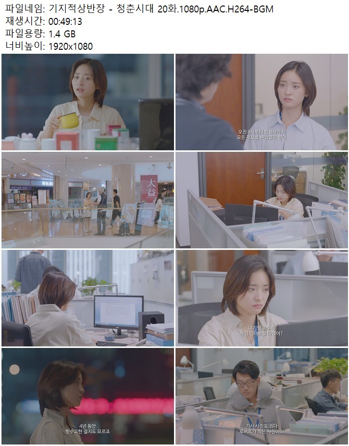 기지적상반장 - 청춘시대 20화.1080p.AAC.H264-BGM