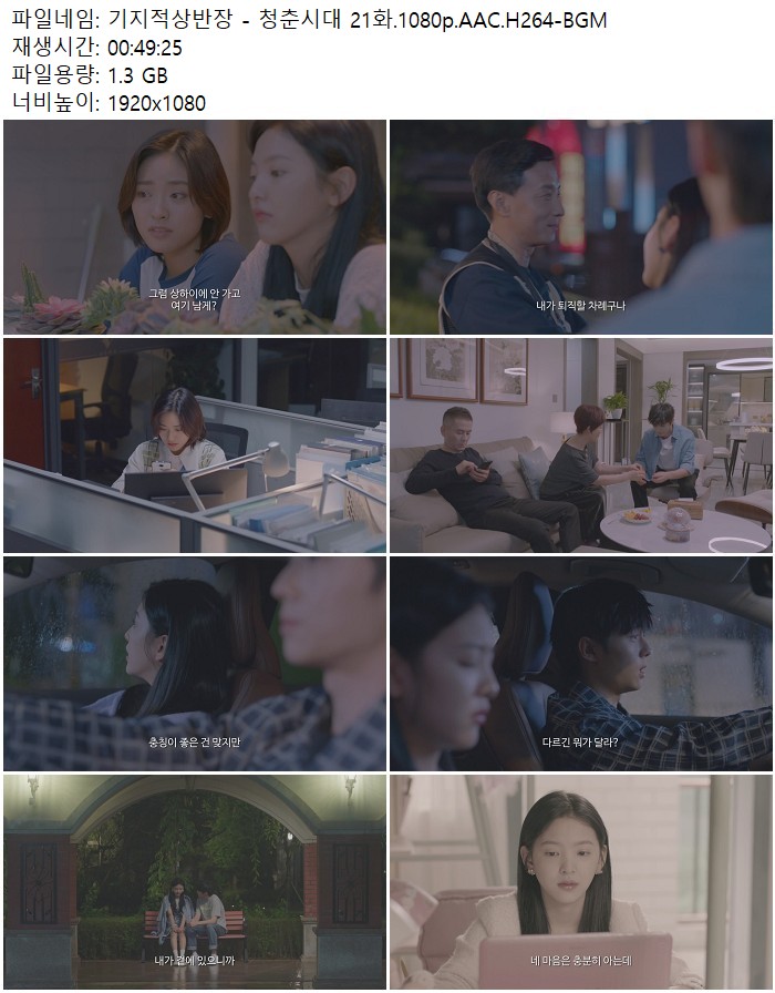 기지적상반장 - 청춘시대 21화.1080p.AAC.H264-BGM
