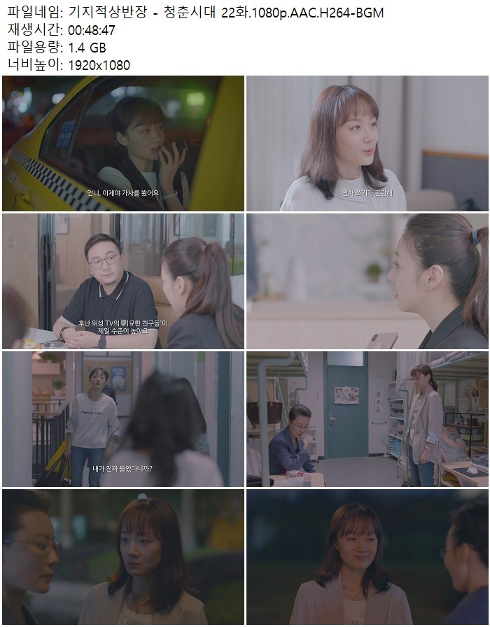 기지적상반장 - 청춘시대 22화.1080p.AAC.H264-BGM