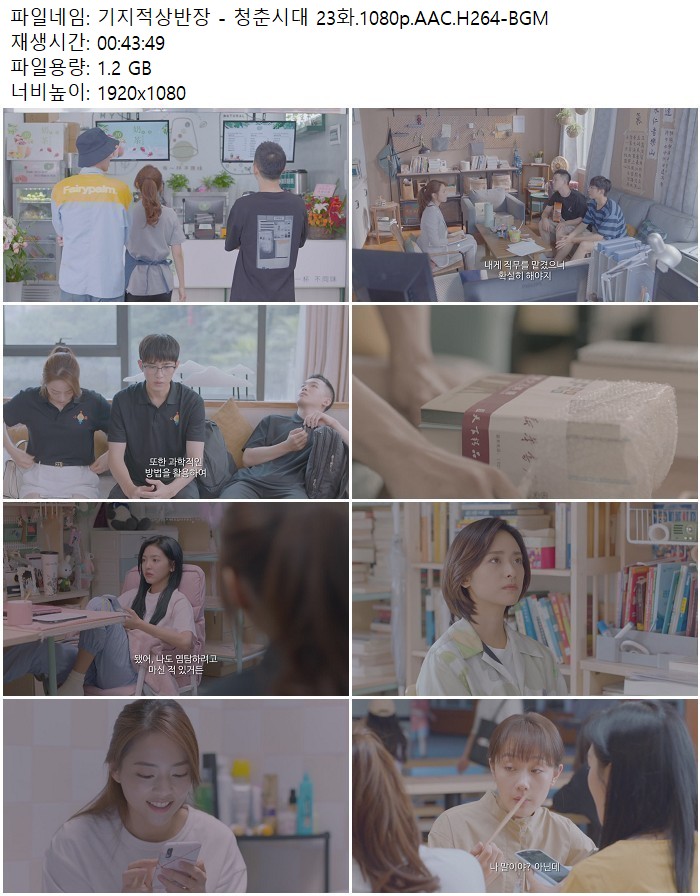 기지적상반장 - 청춘시대 23화.1080p.AAC.H264-BGM