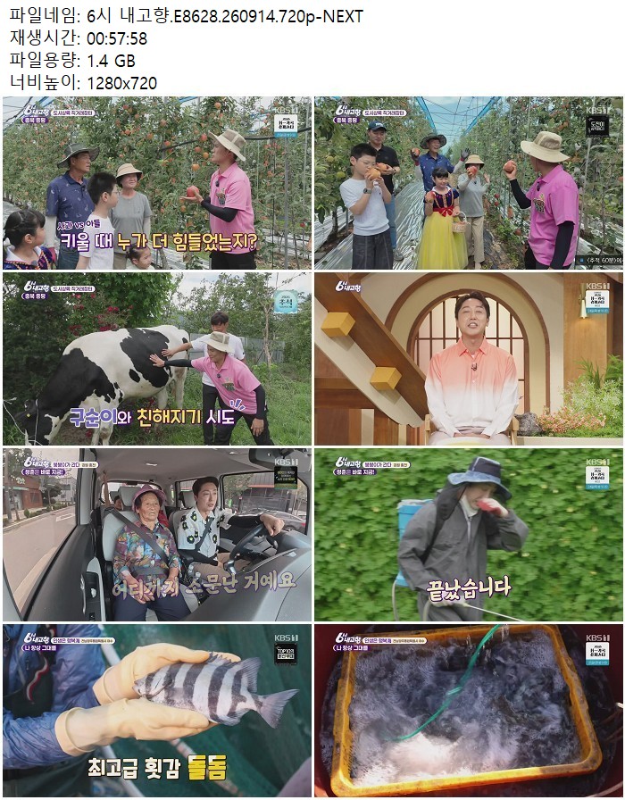 6시 내고향.E8628.260914.720p-NEXT