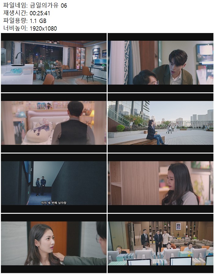 금일의가유 06