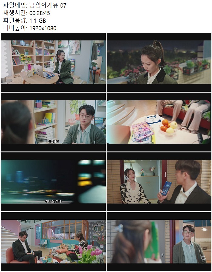 금일의가유 07