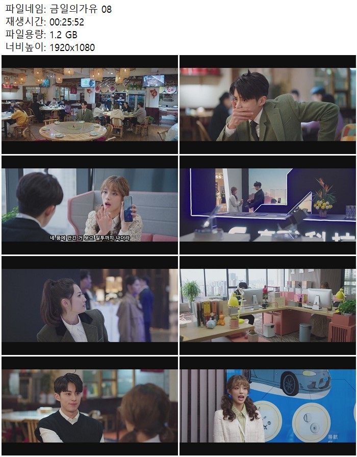 금일의가유 08