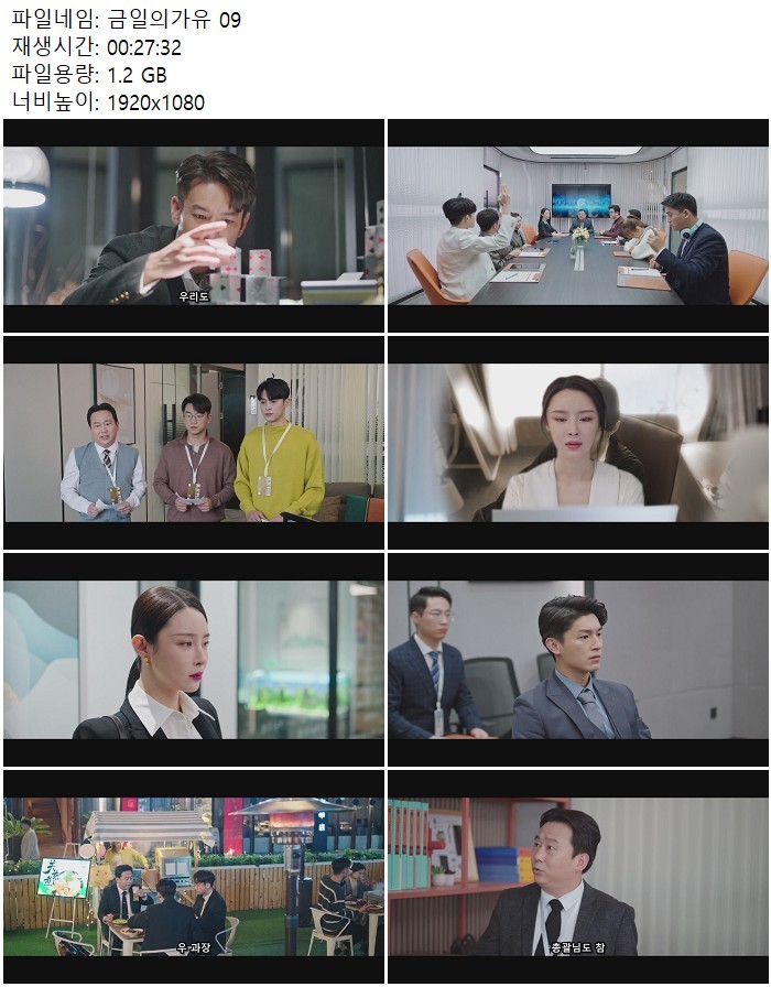 금일의가유 09