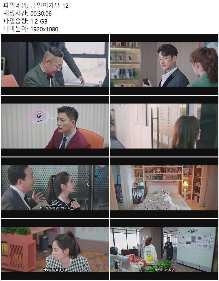 금일의가유 12