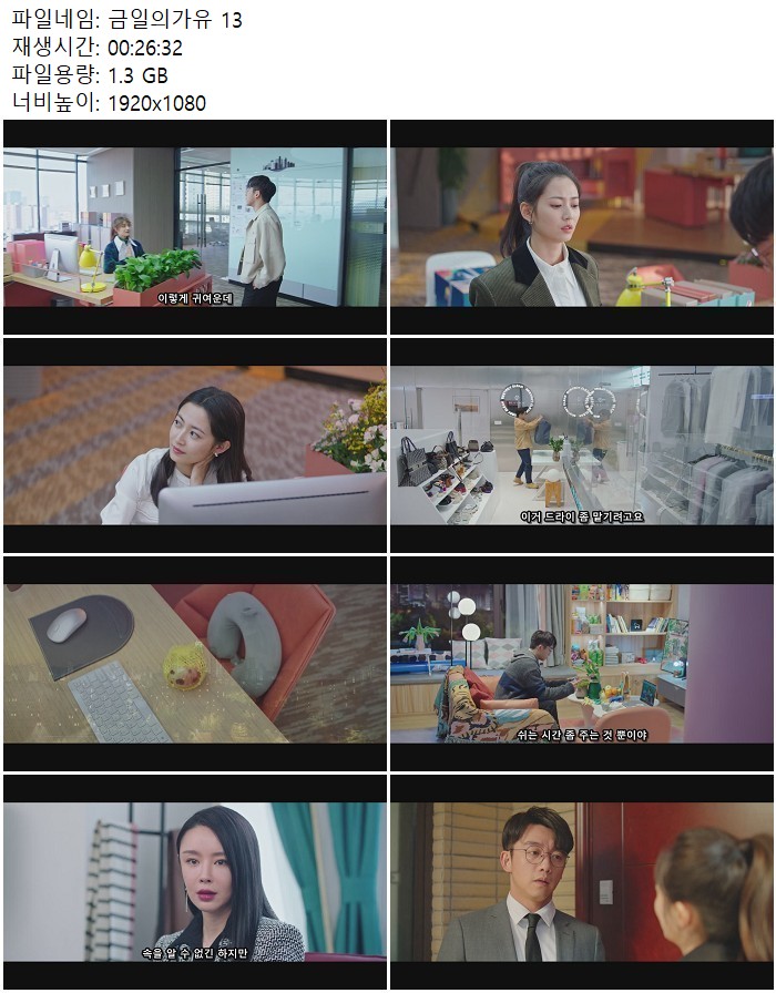 금일의가유 13