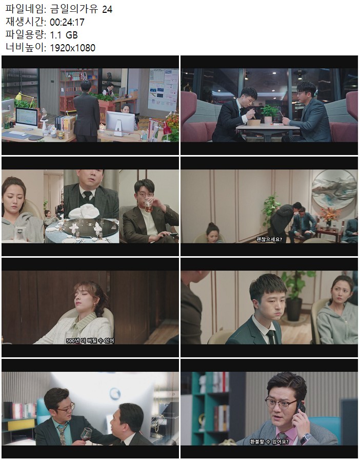 금일의가유 24