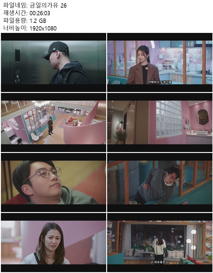 금일의가유 26