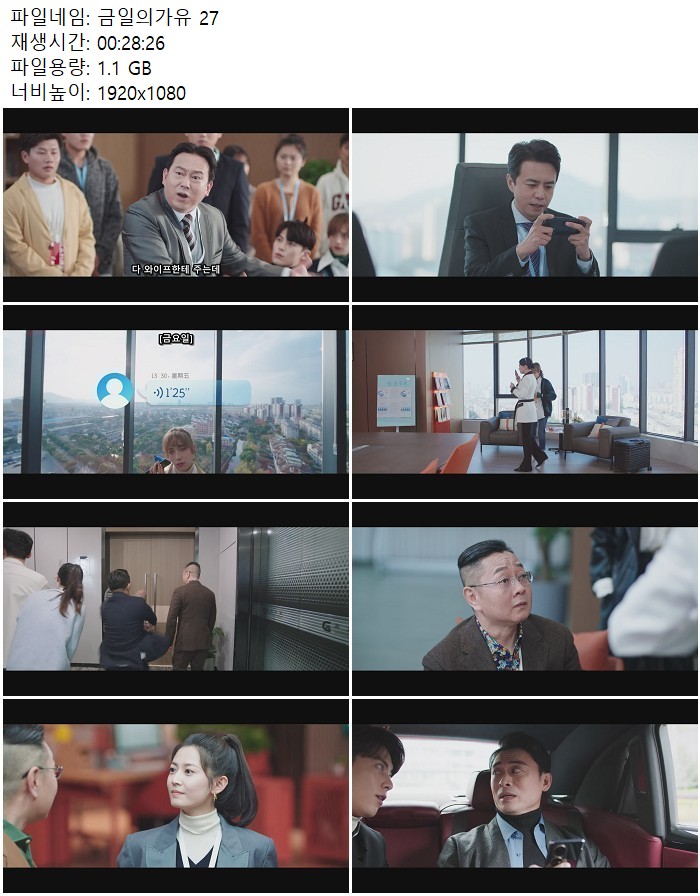 금일의가유 27