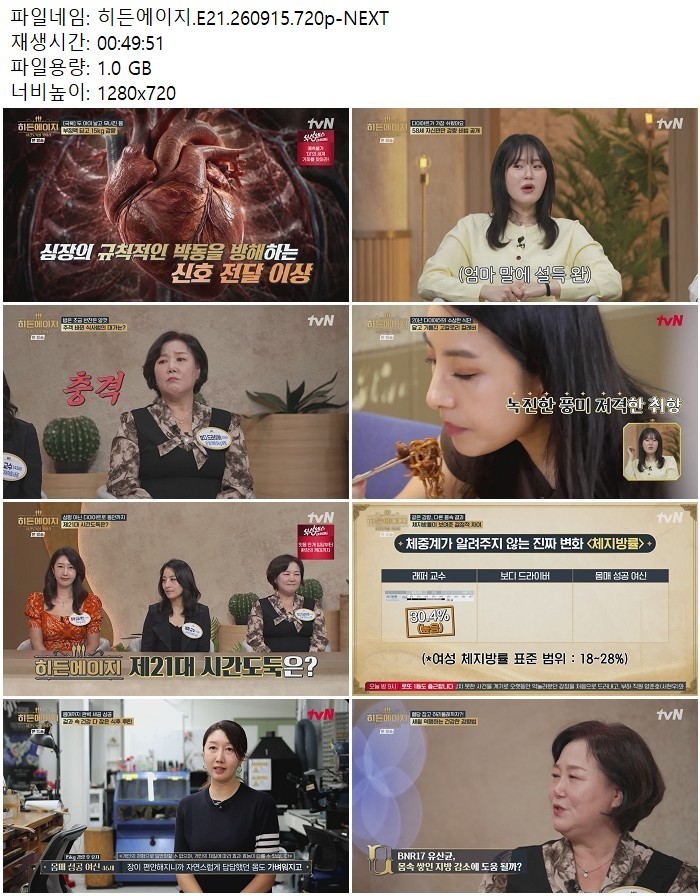 히든에이지.E21.260915.720p-NEXT