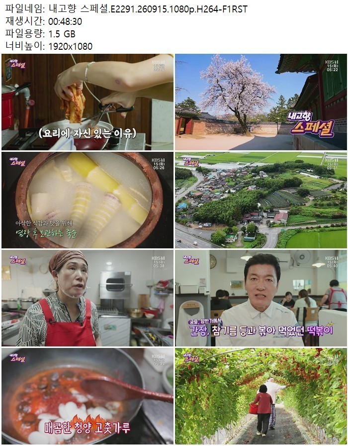 내고향 스페셜.E2291.260915.1080p.H264