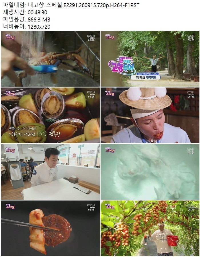내고향 스페셜.E2291.260915.720p.H264
