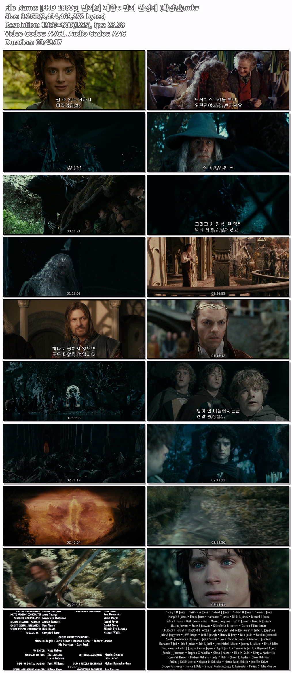 [FHD 1080p] 반지의 제왕 반지 원정대 (확장판)