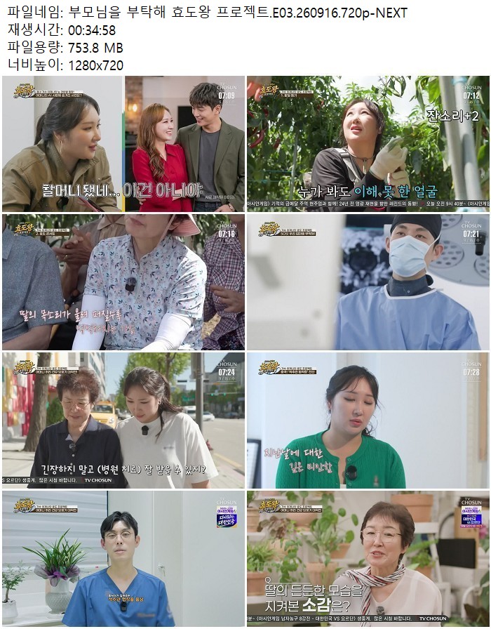 부모님을 부탁해 효도왕 프로젝트.E03.260916.720p-NEXT