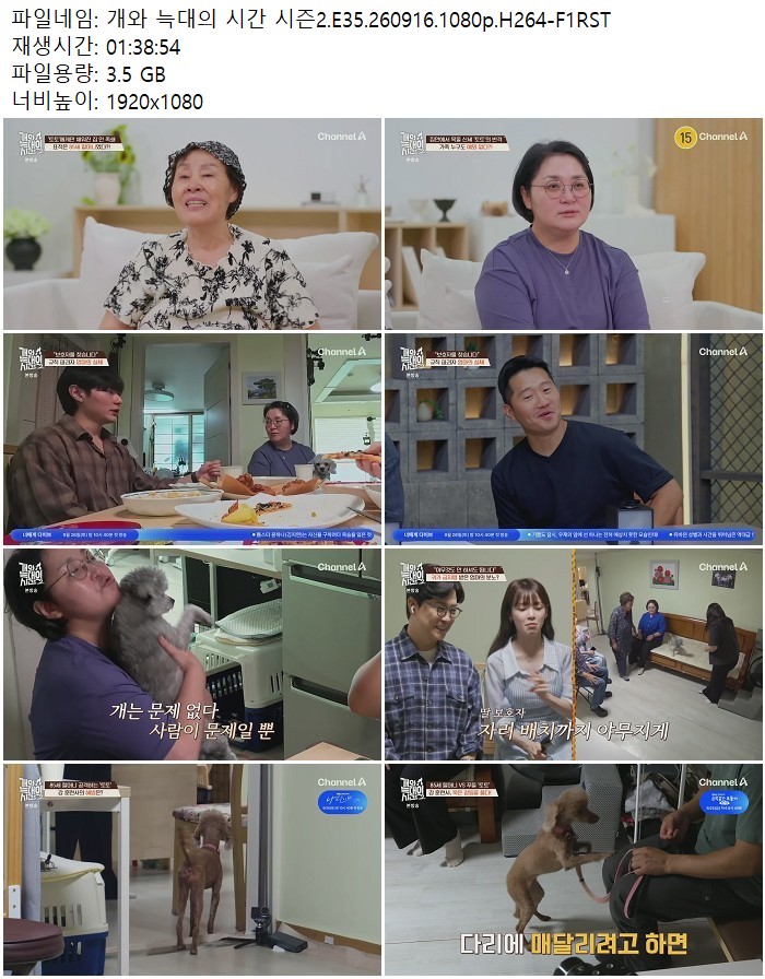개와 늑대의 시간 시즌2.E35.260916.1080p.H264